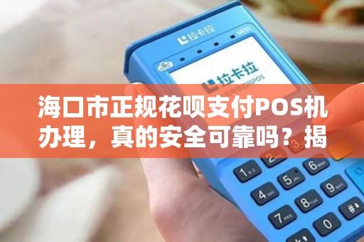 海口市正规花呗支付POS机办理，真的安全可靠吗？揭秘行业内幕！