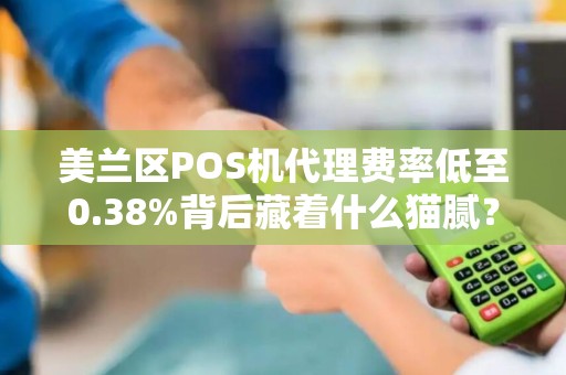 美兰区POS机代理费率低至0.38%背后藏着什么猫腻？揭秘低费率POS机的真相与风险！