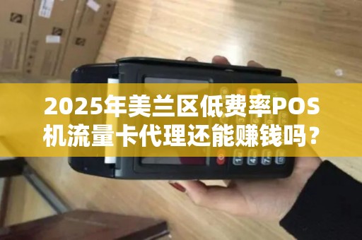 2025年美兰区低费率POS机流量卡代理还能赚钱吗?揭秘行业现状与盈利秘诀! 2025年美兰区低费率POS机流量卡代理还能赚钱吗?揭秘行业现状与盈利秘诀!
