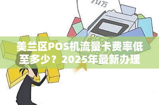 美兰区POS机流量卡费率低至多少？2025年最新办理攻略大揭秘！