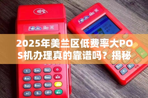 2025年美兰区低费率大POS机办理真的靠谱吗?揭秘背后隐藏的3大陷阱!