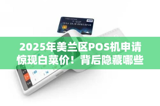 2025年美兰区POS机申请惊现白菜价！背后隐藏哪些不为人知的秘密？
