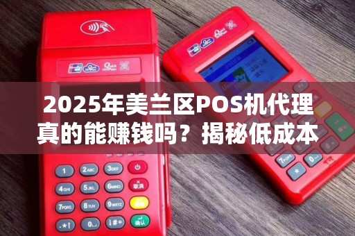 2025年美兰区POS机代理真的能赚钱吗？揭秘低成本创业背后的真相！