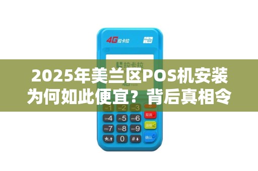 2025年美兰区POS机安装为何如此便宜?背后真相令人震惊!
