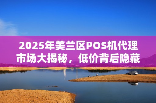 2025年美兰区POS机代理市场大揭秘，低价背后隐藏着什么？