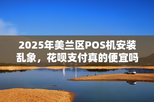 2025年美兰区POS机安装乱象,花呗支付真的便宜吗?