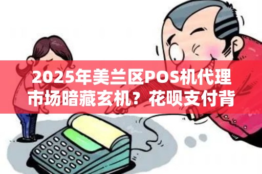 2025年美兰区POS机代理市场暗藏玄机？花呗支付背后竟有这些猫腻！