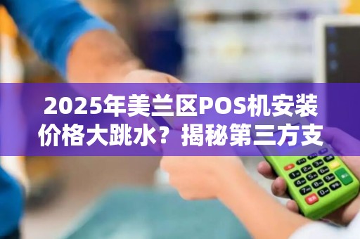 2025年美兰区POS机安装价格大跳水?揭秘第三方支付背后的省钱秘诀! 2025年美兰区POS机安装价格大跳水?揭秘第三方支付背后的省钱秘诀!