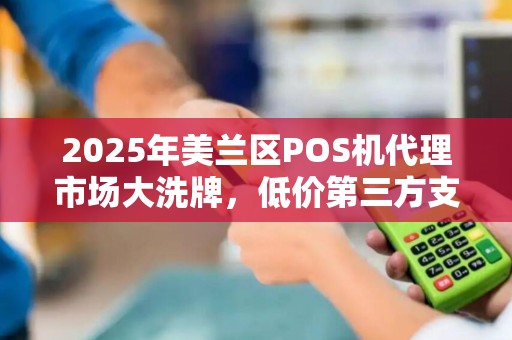 2025年美兰区POS机代理市场大洗牌，低价第三方支付真的靠谱吗？