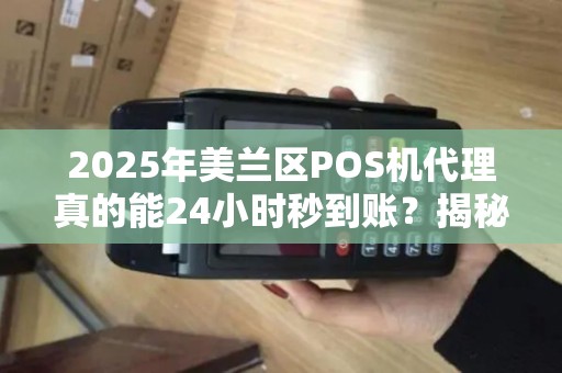 2025年美兰区POS机代理真的能24小时秒到账？揭秘背后真相！