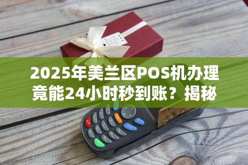2025年美兰区POS机办理竟能24小时秒到账？揭秘背后不为人知的省钱技巧！