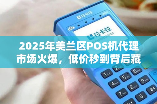 2025年美兰区POS机代理市场火爆,低价秒到背后藏着什么秘密? 2025年美兰区POS机代理市场火爆,低价秒到背后藏着什么秘密?