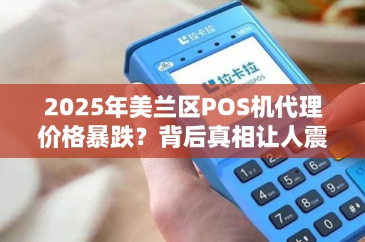 2025年美兰区POS机代理价格暴跌？背后真相让人震惊！