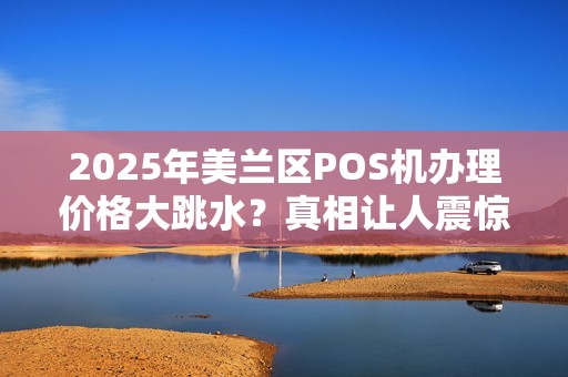 2025年美兰区POS机办理价格大跳水?真相让人震惊!