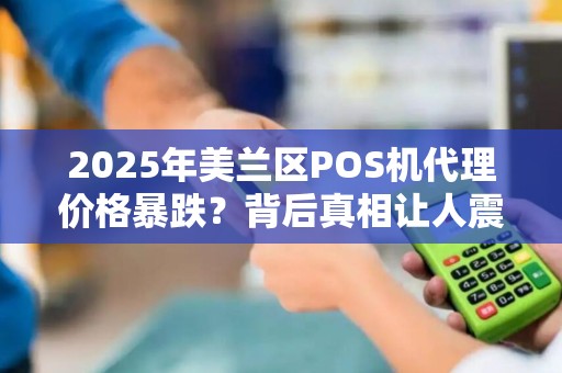 2025年美兰区POS机代理价格暴跌?背后真相让人震惊!