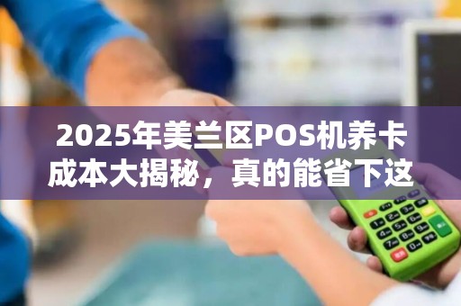 2025年美兰区POS机养卡成本大揭秘，真的能省下这么多钱吗？