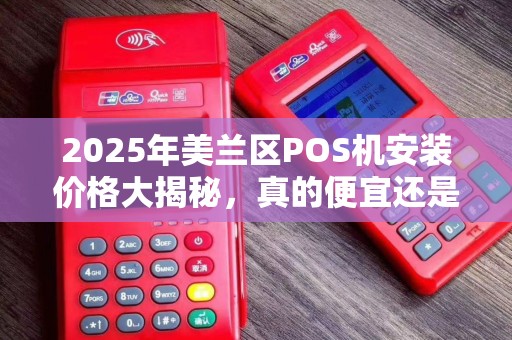 2025年美兰区POS机安装价格大揭秘，真的便宜还是隐藏陷阱？