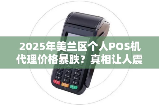 2025年美兰区个人POS机代理价格暴跌？真相让人震惊！