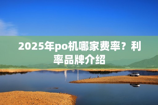 2025年po机哪家费率？利率品牌介绍