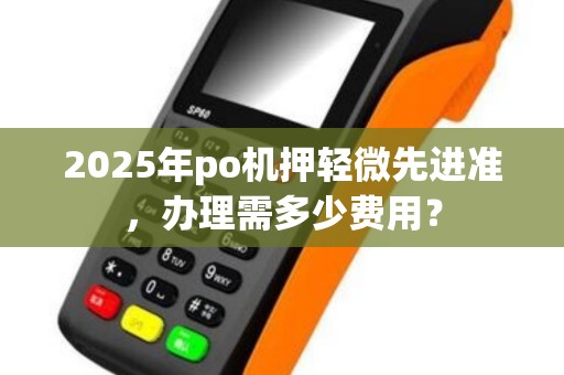 2025年po机押轻微先进准,办理需多少费用?