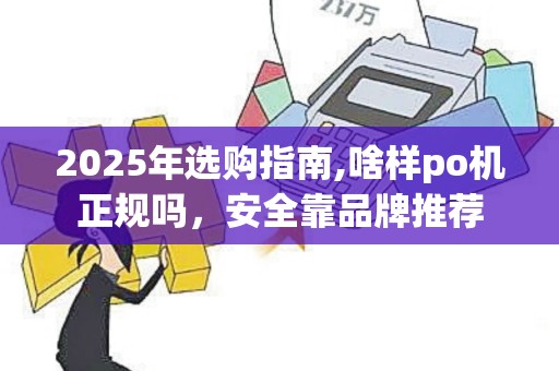2025年选购指南,啥样po机正规吗,安全靠品牌推荐