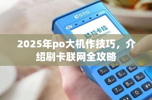 2025年po大机作技巧，介绍刷卡联网全攻略