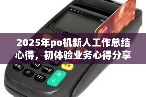 2025年po机新人工作总结心得，初体验业务心得分享