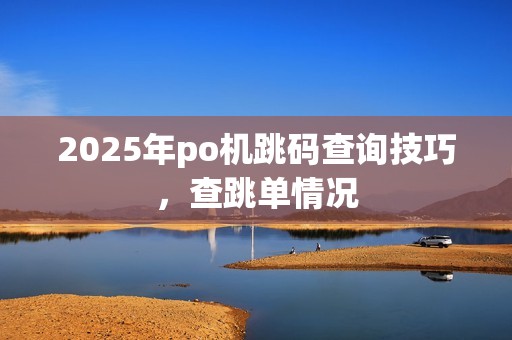 2025年po机跳码查询技巧，查跳单情况