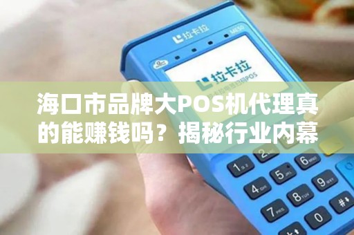 海口市品牌大POS机代理真的能赚钱吗？揭秘行业内幕与避坑指南！