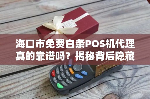 海口市免费白条POS机代理真的靠谱吗?揭秘背后隐藏的5大风险!