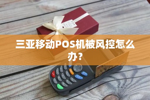 三亚移动POS机被风控怎么办？