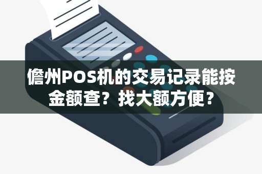 儋州POS机的交易记录能按金额查？找大额方便？