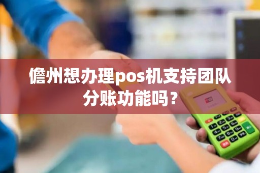 儋州想办理pos机支持团队分账功能吗？