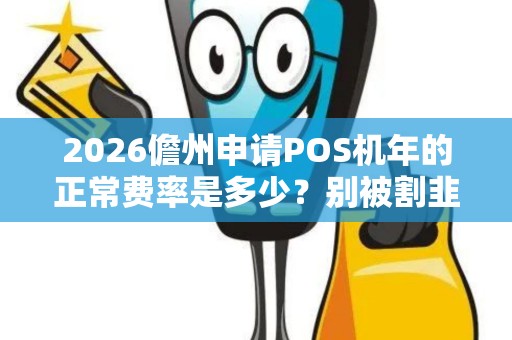 2026儋州申请POS机年的正常费率是多少？别被割韭菜
