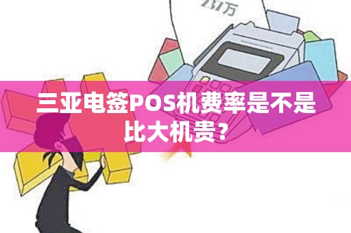 三亚电签POS机费率是不是比大机贵？
