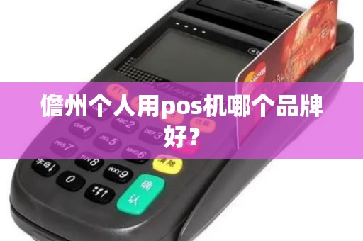 儋州个人用pos机哪个品牌好？