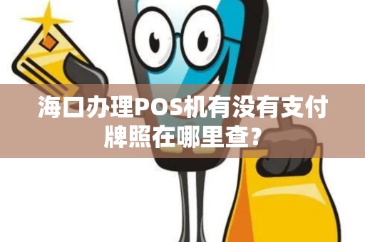海口办理POS机有没有支付牌照在哪里查？