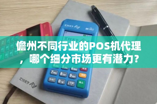 儋州不同行业的POS机代理，哪个细分市场更有潜力？