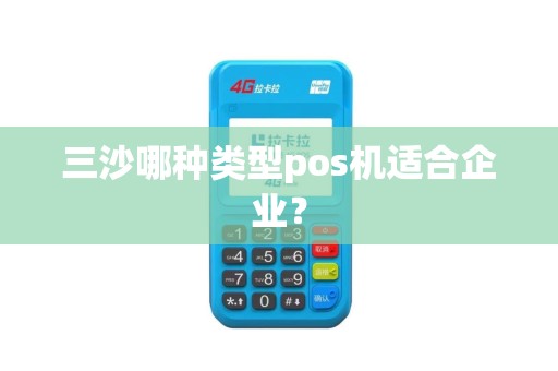三沙哪种类型pos机适合企业？