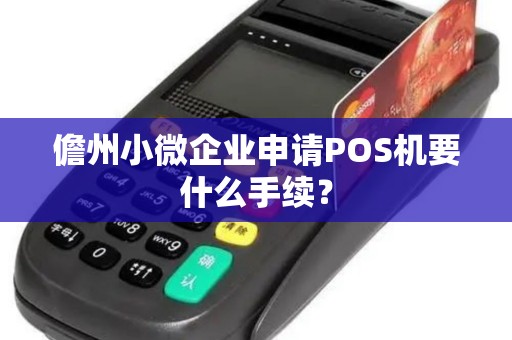儋州小微企业申请POS机要什么手续?