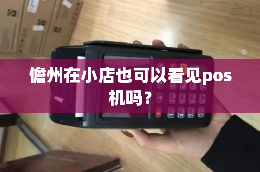 儋州在小店也可以看见pos机吗?