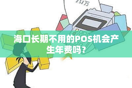 海口长期不用的POS机会产生年费吗？