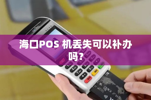 海口POS 机丢失可以补办吗？