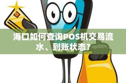 海口如何查询POS机交易流水、到账状态？
