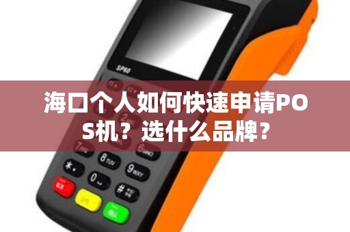 海口个人如何快速申请POS机?选什么品牌?