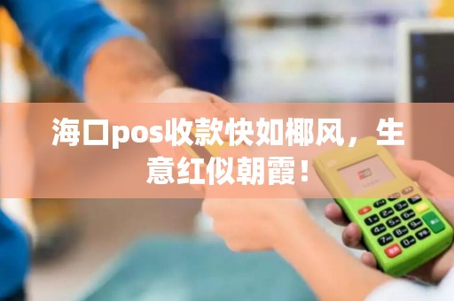 海口pos收款快如椰风，生意红似朝霞！
