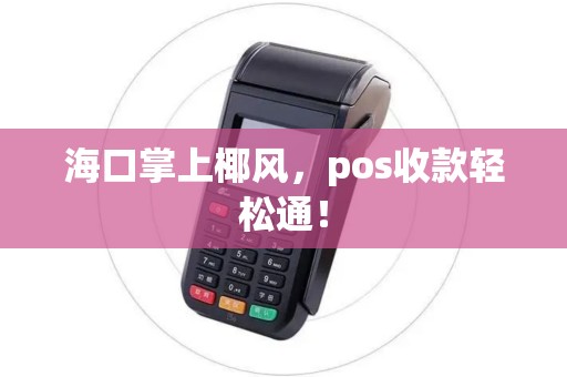 海口掌上椰风，pos收款轻松通！