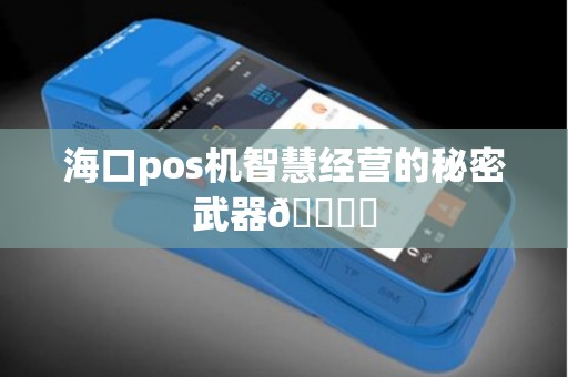 海口pos机智慧经营的秘密武器🗝️