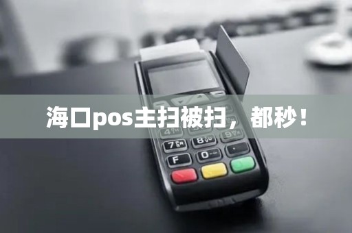 海口pos主扫被扫，都秒！