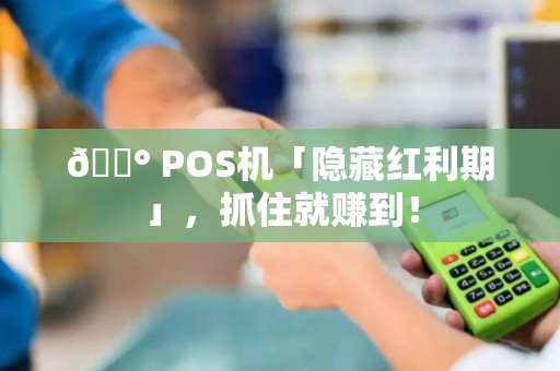 💰 POS机「隐藏红利期」，抓住就赚到！